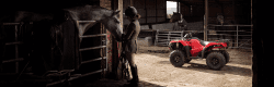 Honda ATV in a stable with horse and owner 
