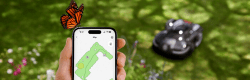 Image of someone holding a phone, demonstrating what the app version of husqvanra rewilding mode looks like, there is a butterfly sitting on the phone and a Husqvarna robotic mower on the lawn in the background